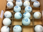 Sphero