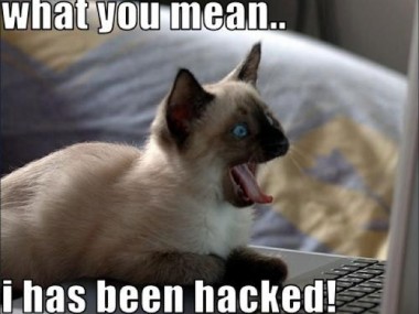 lolcat_hacked-feature