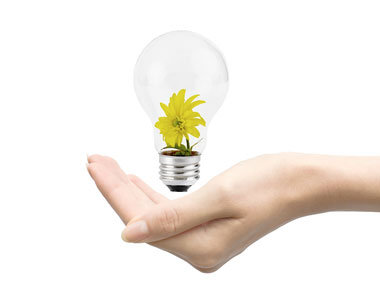 lightbulb380