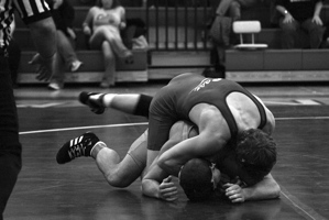 wrestlers.jpg