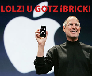 ugotzibrick.jpg