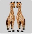 giraffelove