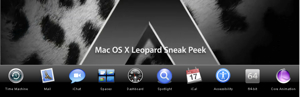 leopard_final.jpg