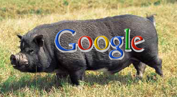 google_hog.jpg