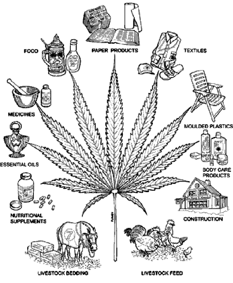 marijuana