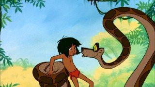 kaa