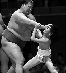 sumo