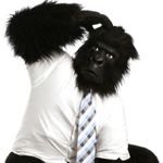 confused-ape