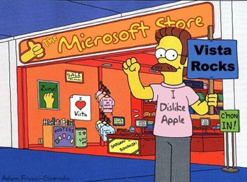 flanders_microsoft_store