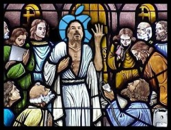 stevus