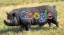 google_hog.thumbnail