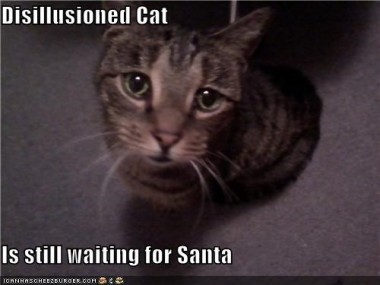 dissillusioned_lolcat